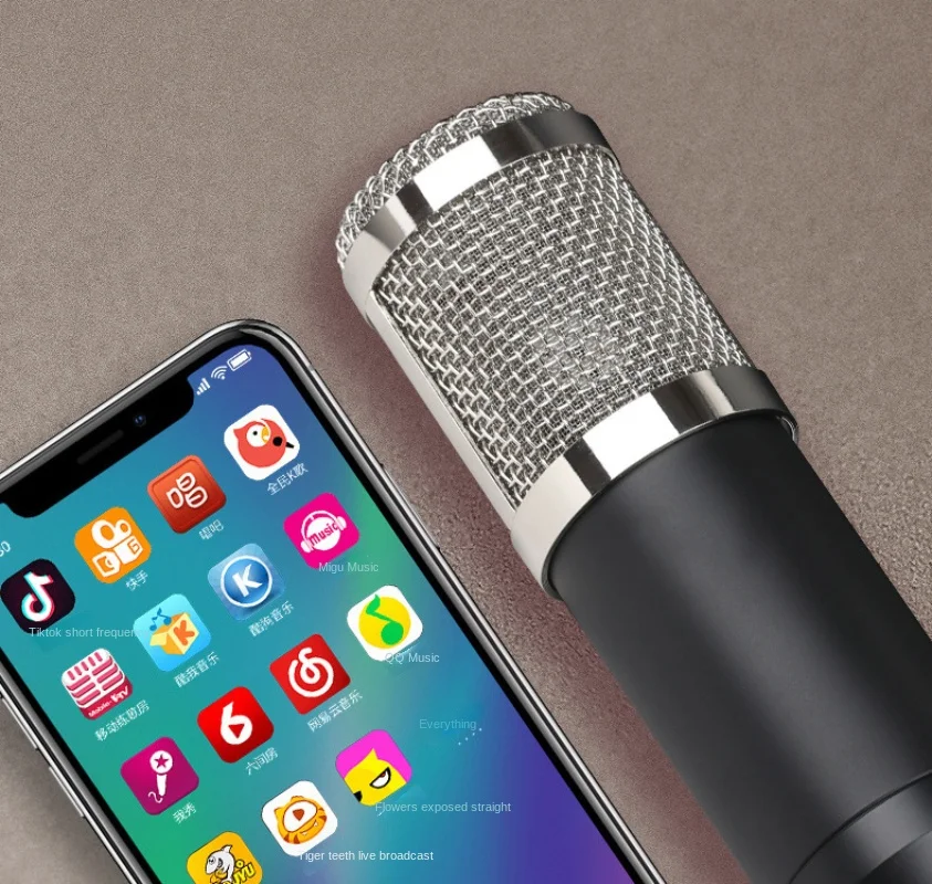 Kit de micrófono de condensado - Condenser Microphone Kit reseña y precio