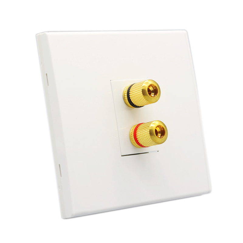 Terminales de Panel de pared d - Speaker Terminal reseña y precio