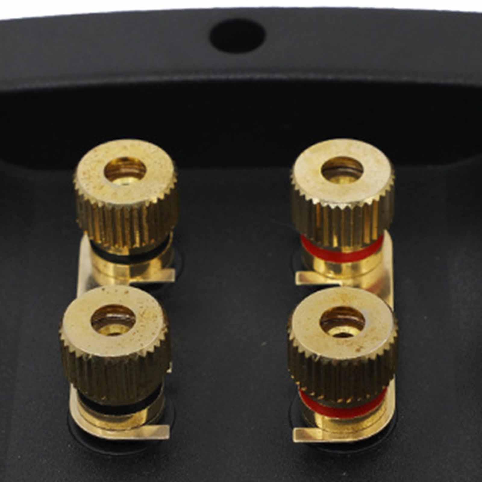 Terminales de cable de altavoz - Speaker Wire reseña y precio