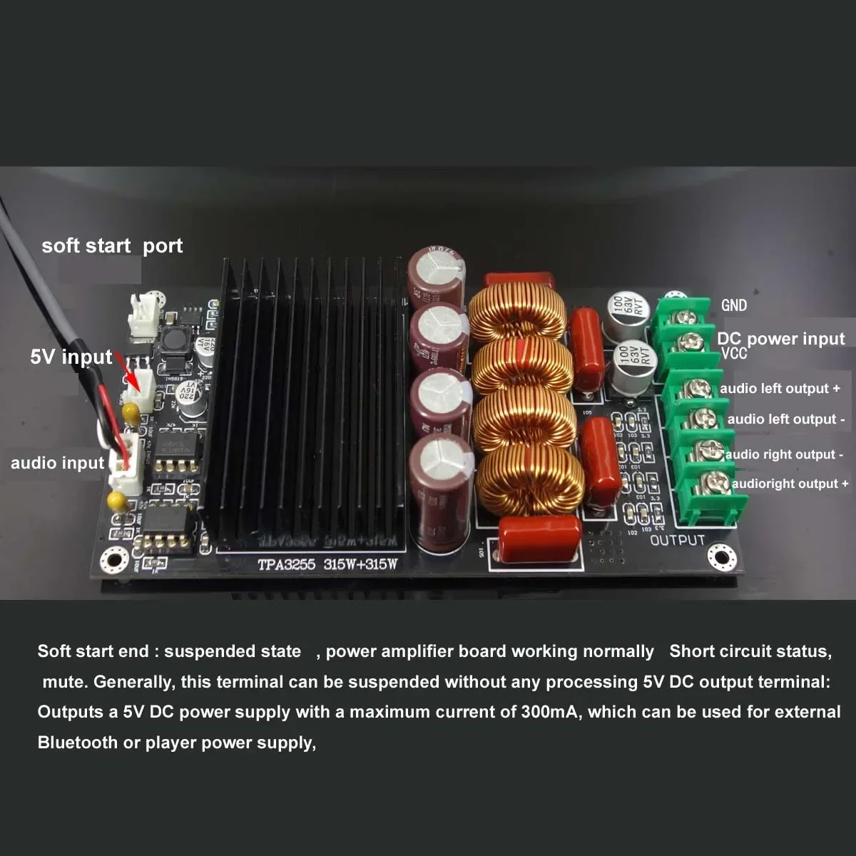 Nueva Placa Amplificadora HiFi - Class D Amplifier reseña y precio