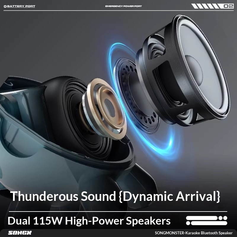 SONGX Audio micrófono Dual Due - Full Range Speaker reseña y precio
